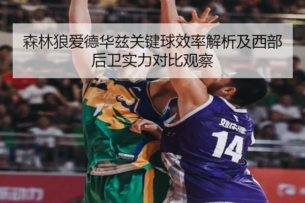 森林狼爱德华兹关键球效率解析及西部后卫实力对比观察